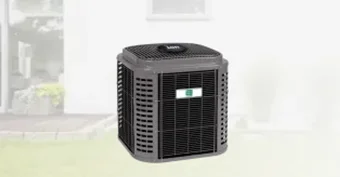 CSH5