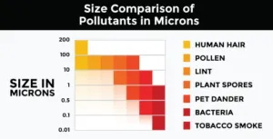 Size Comparison of Pollutants in Microns